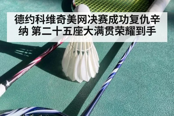 德约科维奇美网决赛成功复仇辛纳 第二十五座大满贯荣耀到手